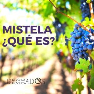 ¿Qué es la mistela?