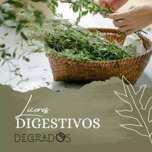 Licores de hierbas