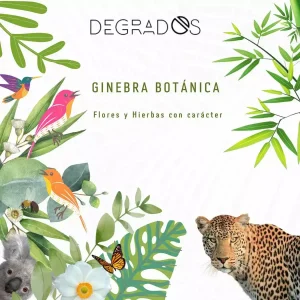 Ginebras botánicas