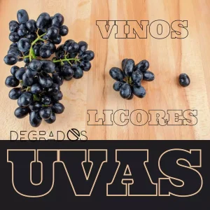Vinos y mistelas
