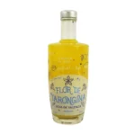 Agua de Valencia Tarongina