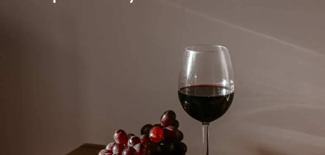 Maridaje de vinos, quesos y mermeladas