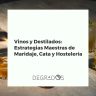 Sommelier experto dirige una cata de vinos y destilados, mostrando maridajes en un ambiente de hostelería elegante.