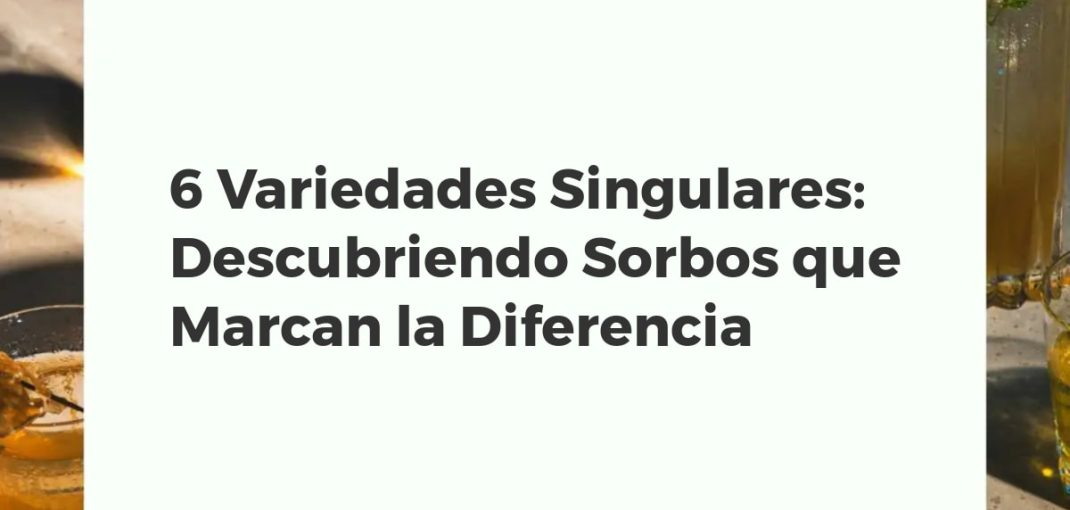 Colección de seis botellas de licores y destilados artesanales de formas y colores variados sobre una mesa de madera rústica.