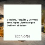 Copa de gin tonic, vaso de tequila con lima y sal, y copa de vermut rojo con naranja, representando tres joyas líquidas imprescindibles.