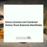 Bodegón de cinco botellas de licores artesanales con carácter único, mostrando su esencia destilada junto a ingredientes botánicos.