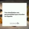 Botellas y copas con tres destilados españoles con personalidad: licor de café, herbero y absenta, sobre una barra de bar.