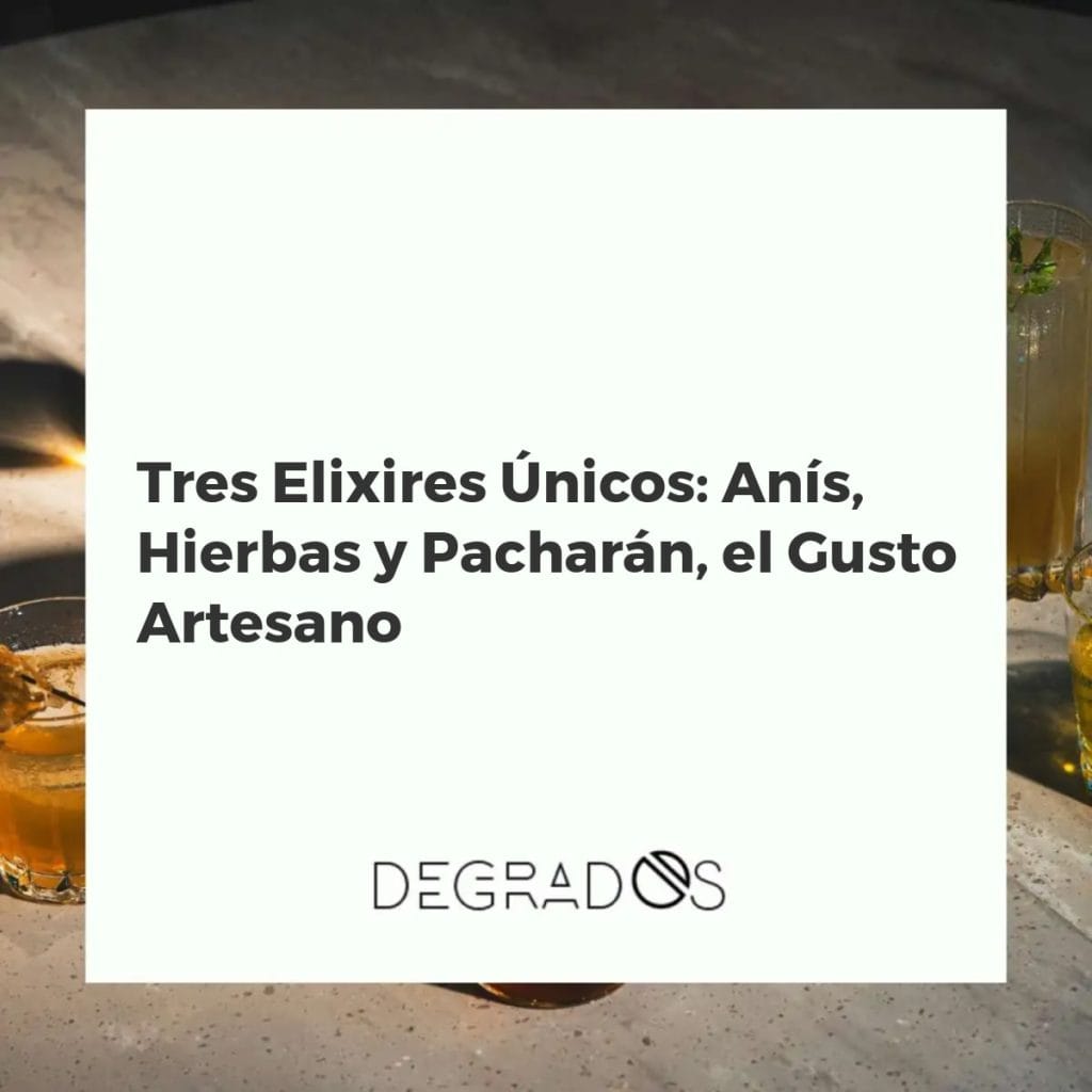 Botellas de anís, licor de hierbas y pacharán rodeadas de sus ingredientes naturales: anís estrellado, hierbas aromáticas y endrinas.