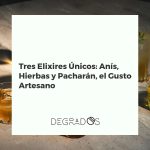 Botellas de anís, licor de hierbas y pacharán rodeadas de sus ingredientes naturales: anís estrellado, hierbas aromáticas y endrinas.