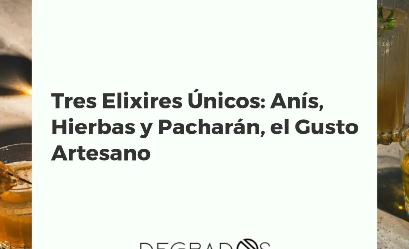 Botellas de anís, licor de hierbas y pacharán rodeadas de sus ingredientes naturales: anís estrellado, hierbas aromáticas y endrinas.